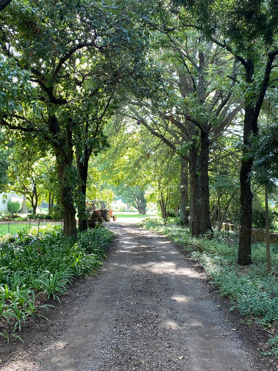 Road